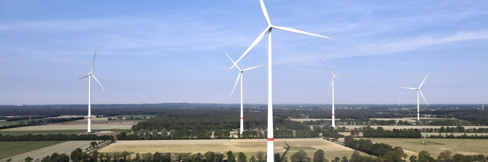 Ansicht von Windrädern, die auf einem Feld stehen.