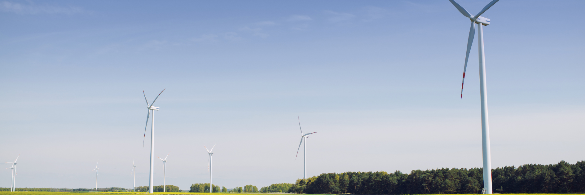 Windkraftanlagen auf einem grünem Feld.